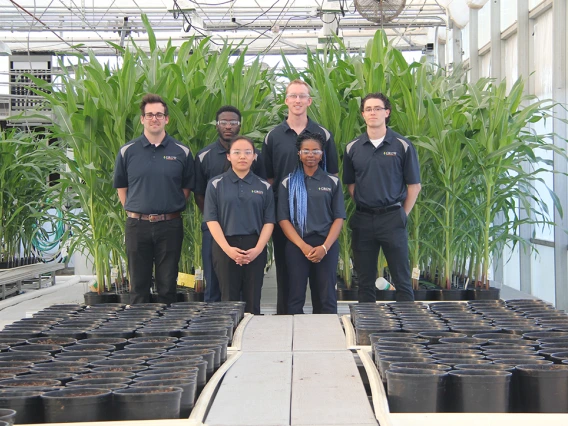 Six students standing in a greenhouse with plants behind them