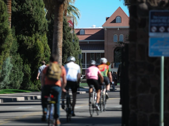 several people ride bicycles on the University of Arizona campus near Old Main