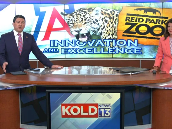 Screenshot of a newscast. Two anchors (one man and one woman) sit at a news desk. The station name, KOLD, is on the desk in front of them. on the screen behind them are the University of Arizona Block A, the Reid Park Zoo logo, and a photo of a jaguar.