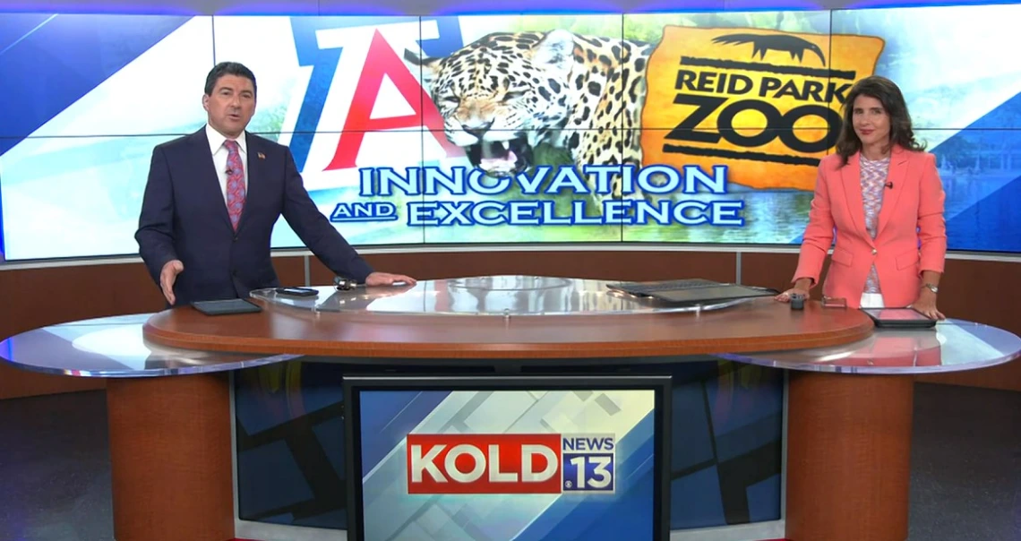 Screenshot of a newscast. Two anchors (one man and one woman) sit at a news desk. The station name, KOLD, is on the desk in front of them. on the screen behind them are the University of Arizona Block A, the Reid Park Zoo logo, and a photo of a jaguar.