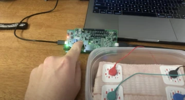 a circuit board attached to a laptop and a set of sensors. the sensors are attached to a piece of pale meat.